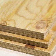 Фанера ФСФ калиброванная 15x1220x2440 мм